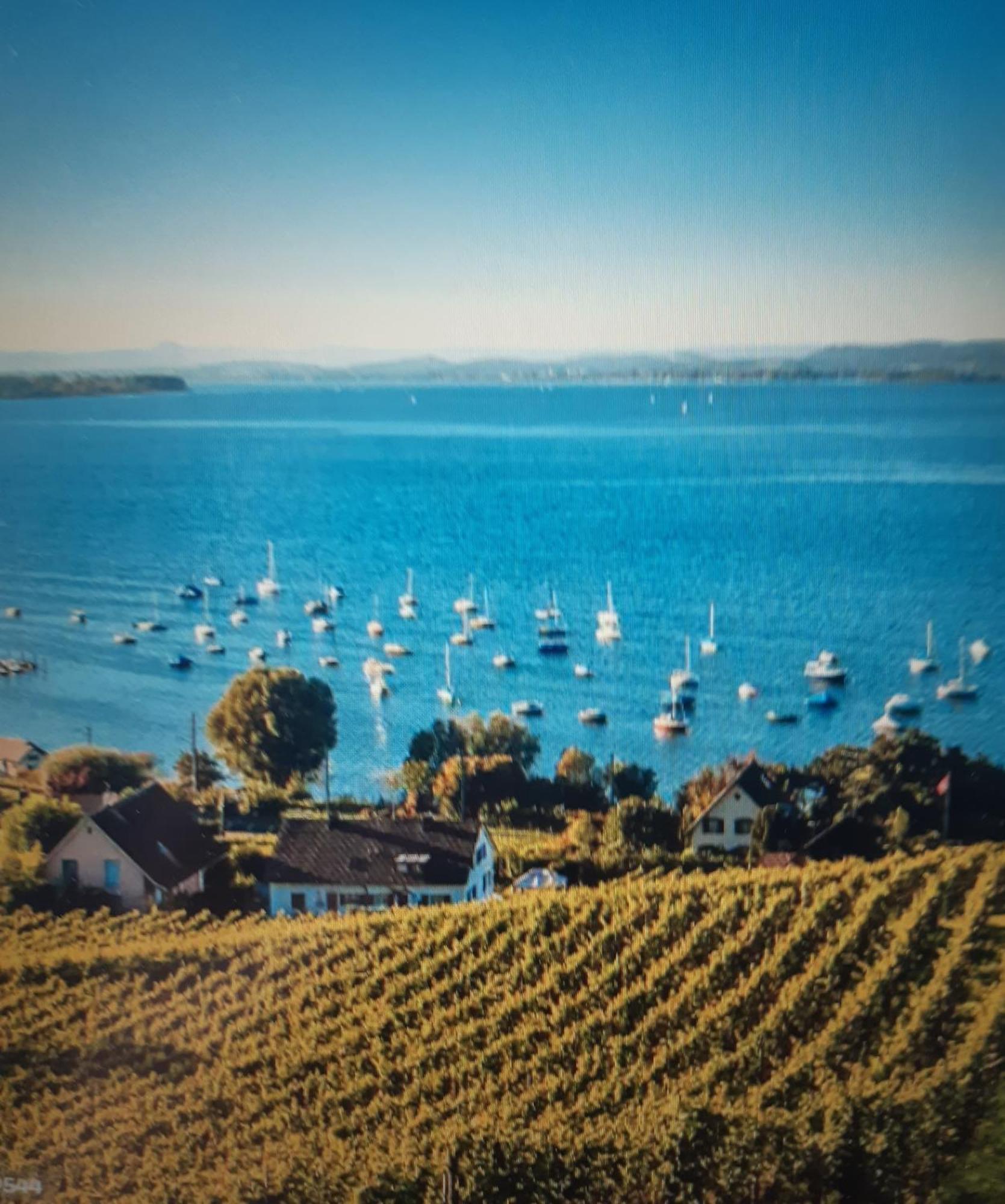 Ferienzentrum Bodensee Oberteuringen Exteriör bild